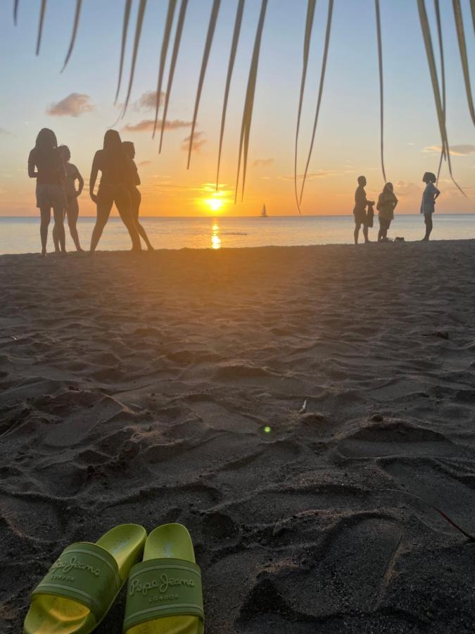 Sunset Appart, T2 Avec Vue Mer Et Plage A 1 Km Le Carbet Eksteriør billede
